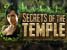 Secrets of the temple screenshot